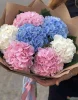 Букет из разноцветных гортензий, 7 шт.