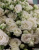 Букет из 15 кустовых роз