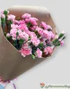 Букет из 11 кустовых гвоздик
